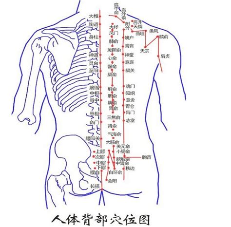 尾椎有痣|男人后背痣相最准图 尾椎有痣才学过人